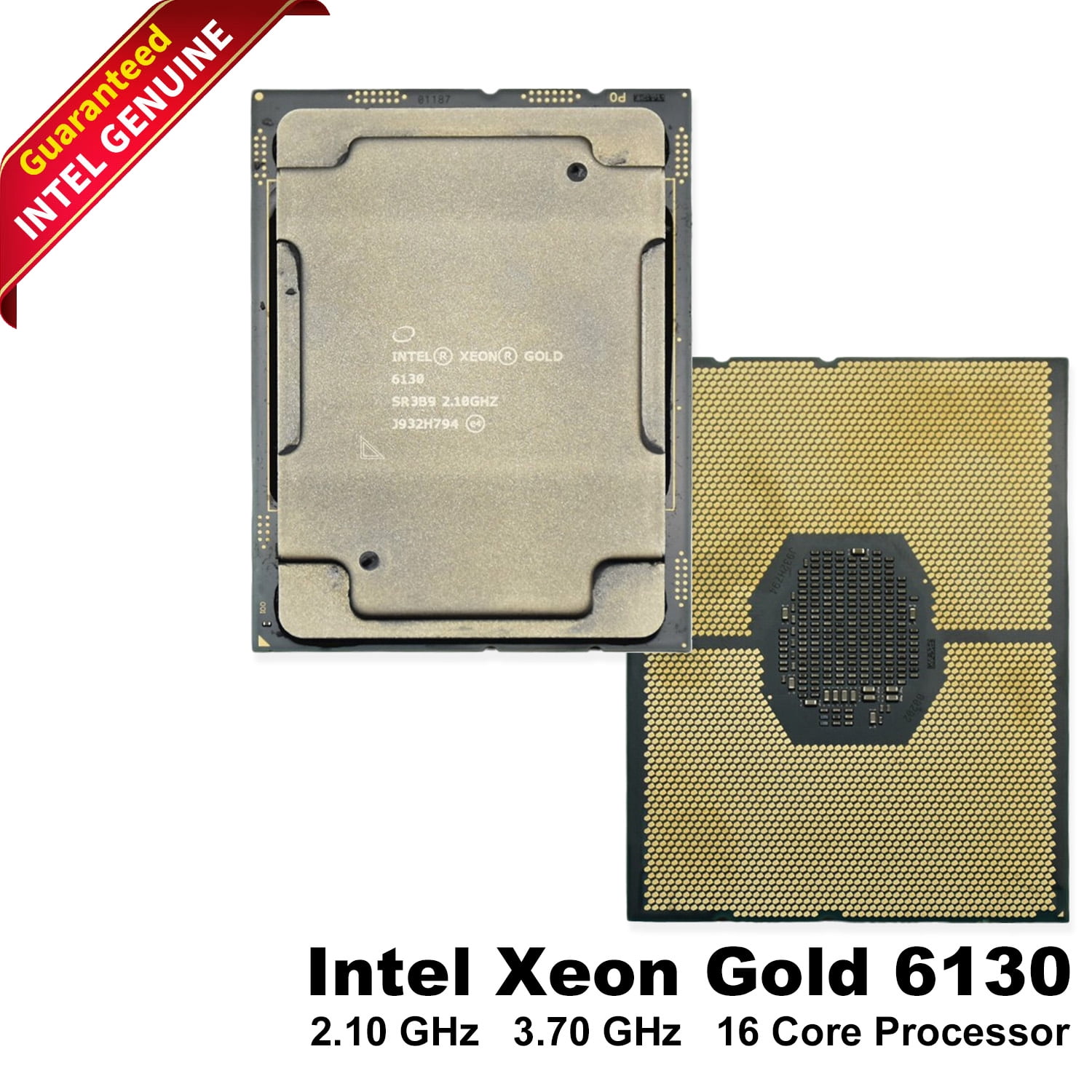 Intel Core i3-14100 3.5 GHz 4-Core LGA 1700 Desktop Processor (4 P