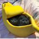 thumbnail image 5 of Mascota Perro Gato Cama Nido Forma De Plátano Esponjoso Cálido Suave Felpa Casa De Lana. Afortunado Sencillez, 5 of 5