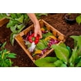 thumbnail image 4 of Vita Mezza 3' L x 5' W Cedar Keyhole Composting Garden, Golden Brown, VT17702, 4 of 12