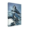 thumbnail image 4 of Canvas Wall Art - Thomas Leung 'Apex' Wall Art for Living Room, Bedroom, or Office Décor by Trademark Fine Art - 12 x 19 Inches, 4 of 4