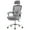 Grey, variant on JOINSUN Ergonomic Office Chair, High Back with Adjustable Lumbar Support, Headrest, Footrest, Gray