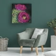 thumbnail image 4 of Carol Rowan 'Blooming Succulent III' Canvas Art, 4 of 4