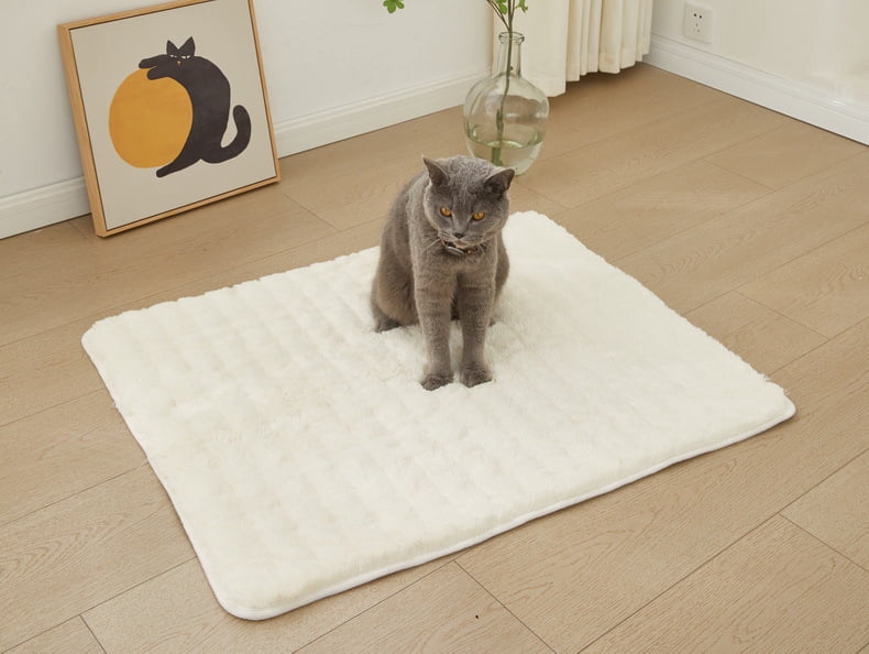 Zhuge Thermal Insulated Pet Mat, Washable for Cats, Outdoor Cat House & Indoor Warmth Pad - White, 70x100cm, 1 Piece