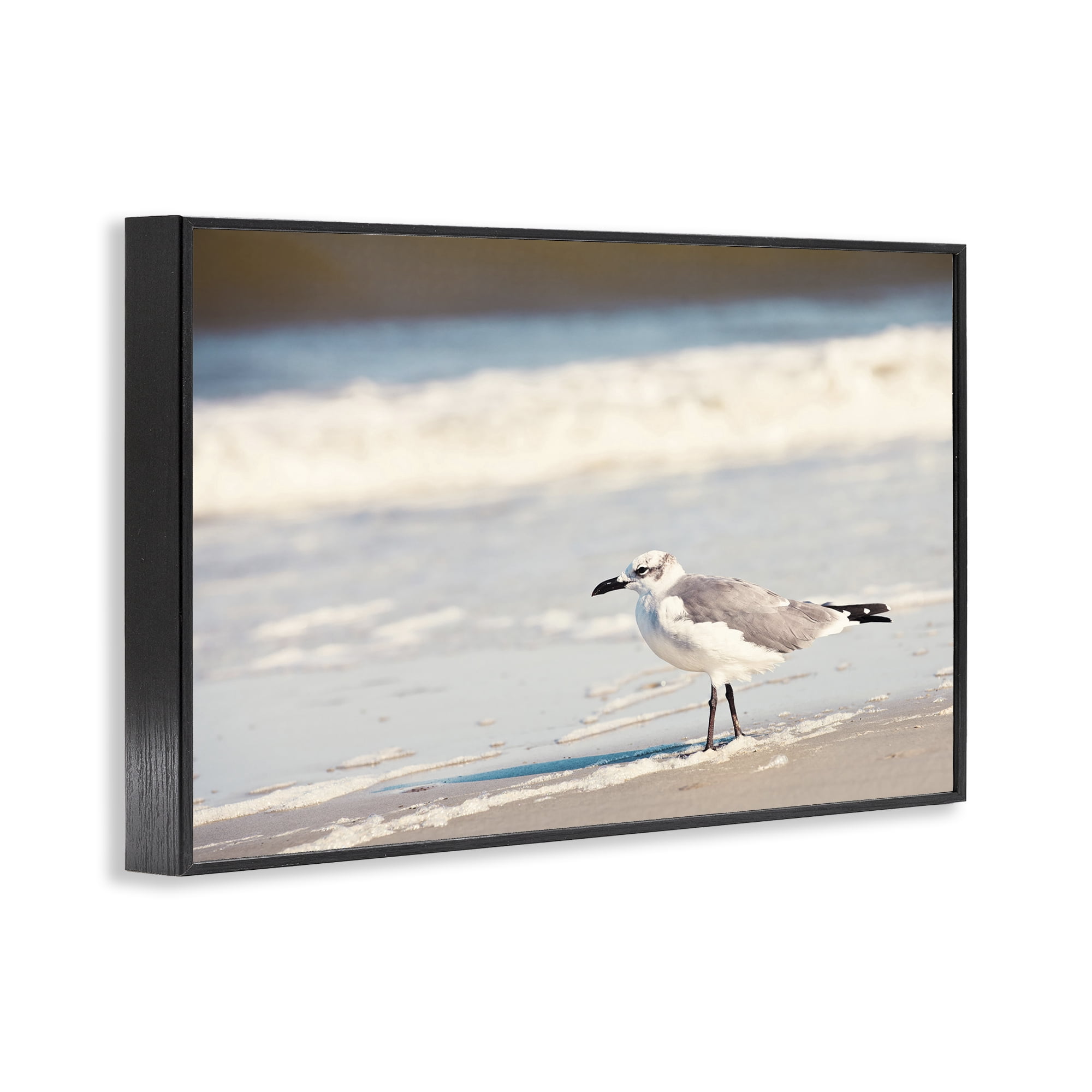 Stupell Industries Seagull Stepping on Shore Coastal Photography Black Framed Art Print Wall Art, 18 x 12