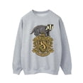 thumbnail image 1 of Harry Potter Sweat-Shirt Homme Hufflepuff Sketch Crest, 1 of 3