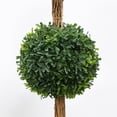 thumbnail image 3 of My Texas House Boxwood Artificial 3' Topiary with Blue Floral Pot, 3 of 6