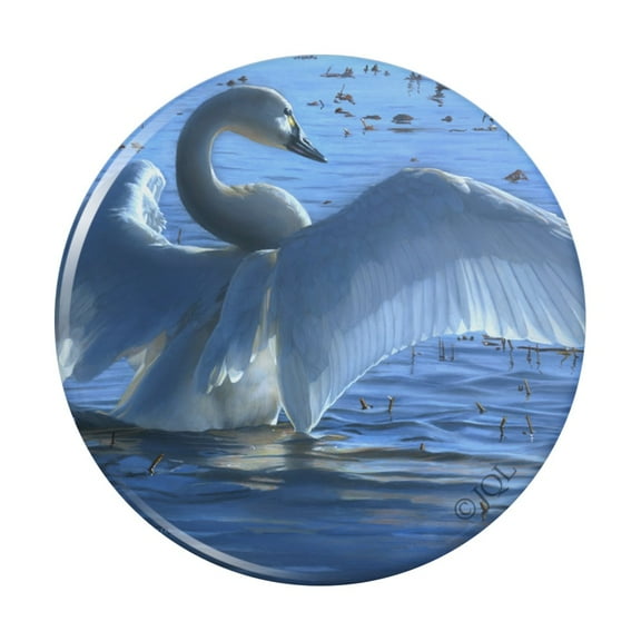 Tundra Swan in the Lake at Dawn Pinback Button Pin