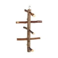 thumbnail image 3 of Birds Perches Cage Stand Toy Hanging Wooden Activity Branches Climbing Stairs Suitable for Small Birds for Budgies,Small Birds,Parakeet,Cockatiel, 3 of 9