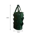 thumbnail image 5 of SPRING PARK Gardens Hanging Planter Growing Bag with Handles Wall Planter Pouch for Strawberry Bare Root Plants, Herbs, 5 of 5