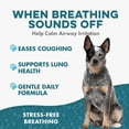 thumbnail image 4 of BestLife4Pets Breathe Easy - Kennel Cough & Respiratory Support Supplement for Dogs - Dog Nasal Congestion Relief - 400 Pills, 4 of 15