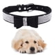 thumbnail image 2 of Methold Decoración para mascotas Cachorro Perro Gato Collar ajustable prop Correa Hebilla Rhinestone PULeather Suministros para perros negro S, 2 of 2