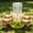 Green-S/S, variant on Automatic Chicken Waterer Poultry Drinker Feeder Spill Proof Multi Purpose for Chicks Quail Ducks Small Farm Birds