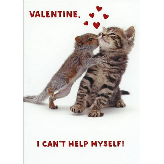 RSVP I Can't Help Myself : Squirrel and Kitten Kiss Funny Romantic Valentine's Day Card