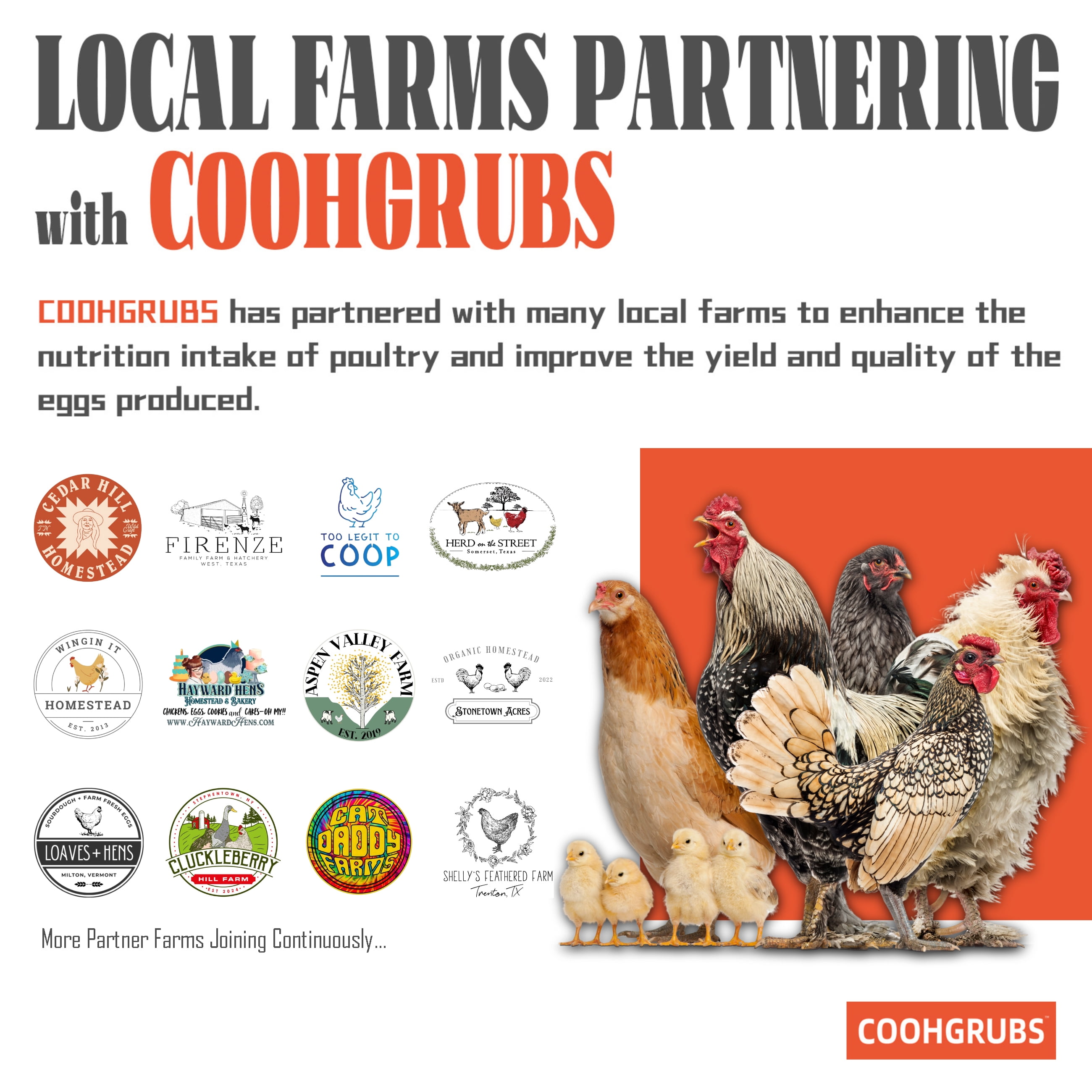 COOHGRUBS Dried Black Soldier Fly Larvae for Chickens, High-Calcium 85X More than Mealworms Bird Treat, 10-lb box