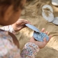 thumbnail image 4 of Kaplan Early Learning Company Magnetic Matching Aquatic Life Fossil Stones - Set of 8, 4 of 7