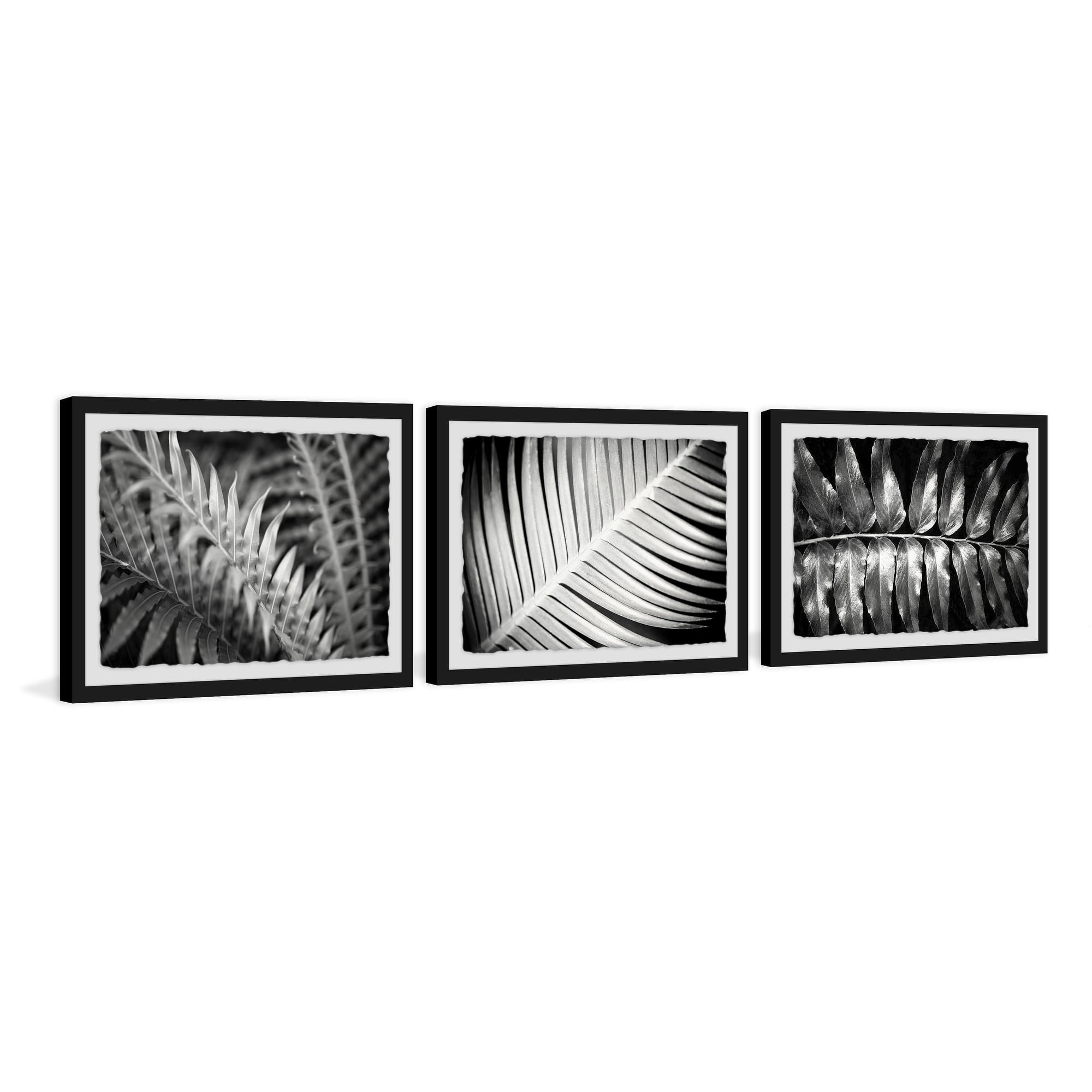Leaf Types Triptych