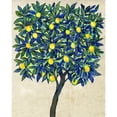 thumbnail image 3 of OToole, Tim 15x18 Black Modern Framed Museum Art Print Titled - Lemon Tree Composition II, 3 of 5