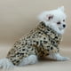 thumbnail image 3 of Ropa para mascotas Mantenimiento cálido Cómodo suave Leopardo Impreso Mascotas Ropa elegante Abrigo Traje para Navidad Festival Festival M Eigraketly PT000683-03, 3 of 7