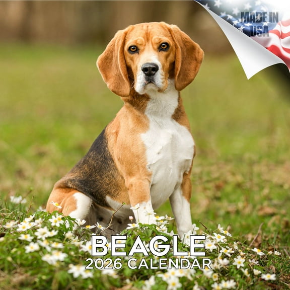 2025 2026 Beagle Calendar - Dog Breed Monthly Wall Calendar - 12 x 24 Open - Thick No-Bleed Paper - Giftable - Academic Teacher's Planner Calendar Organizing & Planning - Made in USA