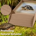 thumbnail image 7 of Tortoise Bathing Basin Small Size, Terracotta Feeding Water Bowl With Terraced Design, For Box Turtles Semi - Aquatic Turtles Grass Turtles Reptiles Lizards - Light Brown, 7 of 7