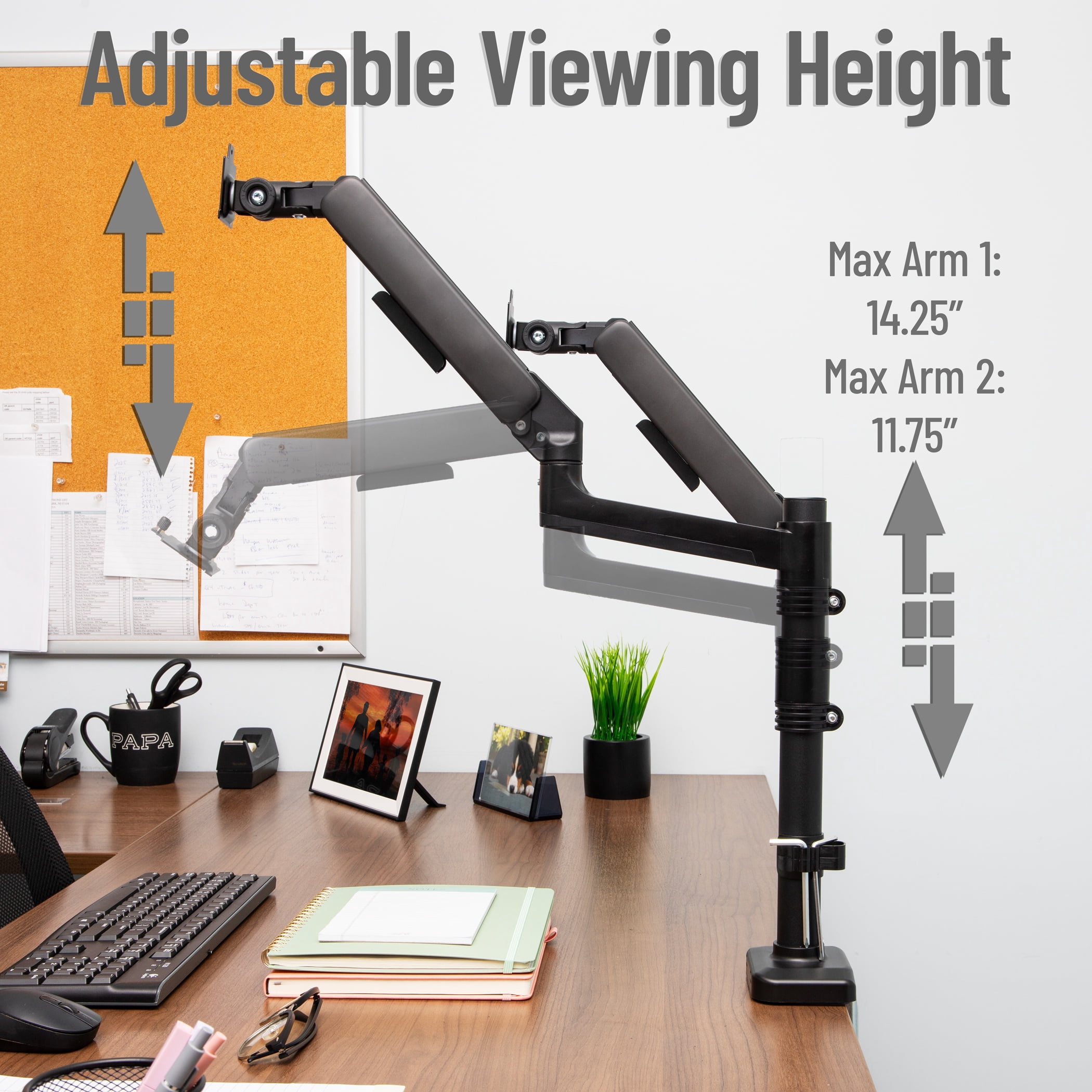 Mind Reader Dual Monitor Arm for 13–32 Inch Screens, Gas Spring VESA Desk Mount, ±180° Rotation, ±65° Tilt, ±180° Swivel, Holds up to 19.8 lbs Each, Black