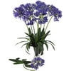 Nearly Natural 29" African Lily Stem, Purple, 12pc