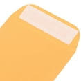 thumbnail image 4 of HEALEEP 100Pack Flower Envelope Small Orange Kraft Paper For Gardeners 5.7X3.1X0.04In, 4 of 7