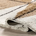thumbnail image 4 of nuLOOM Kali Shaggy Diamond Tassel Area Rug, 4' x 6', Light Brown, 4 of 9