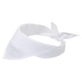 thumbnail image 1 of Heracles Bandana, 1 of 2