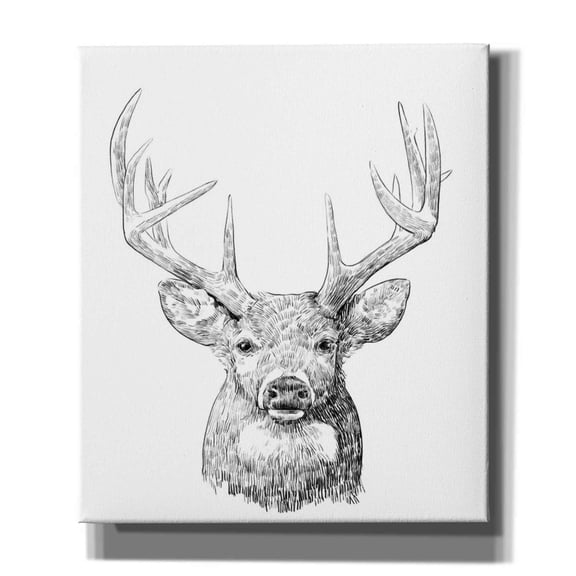 Epic Graffiti 'Young Buck Sketch II' by Emma Scarvey, Giclee Canvas Wall Art, 26"x30"