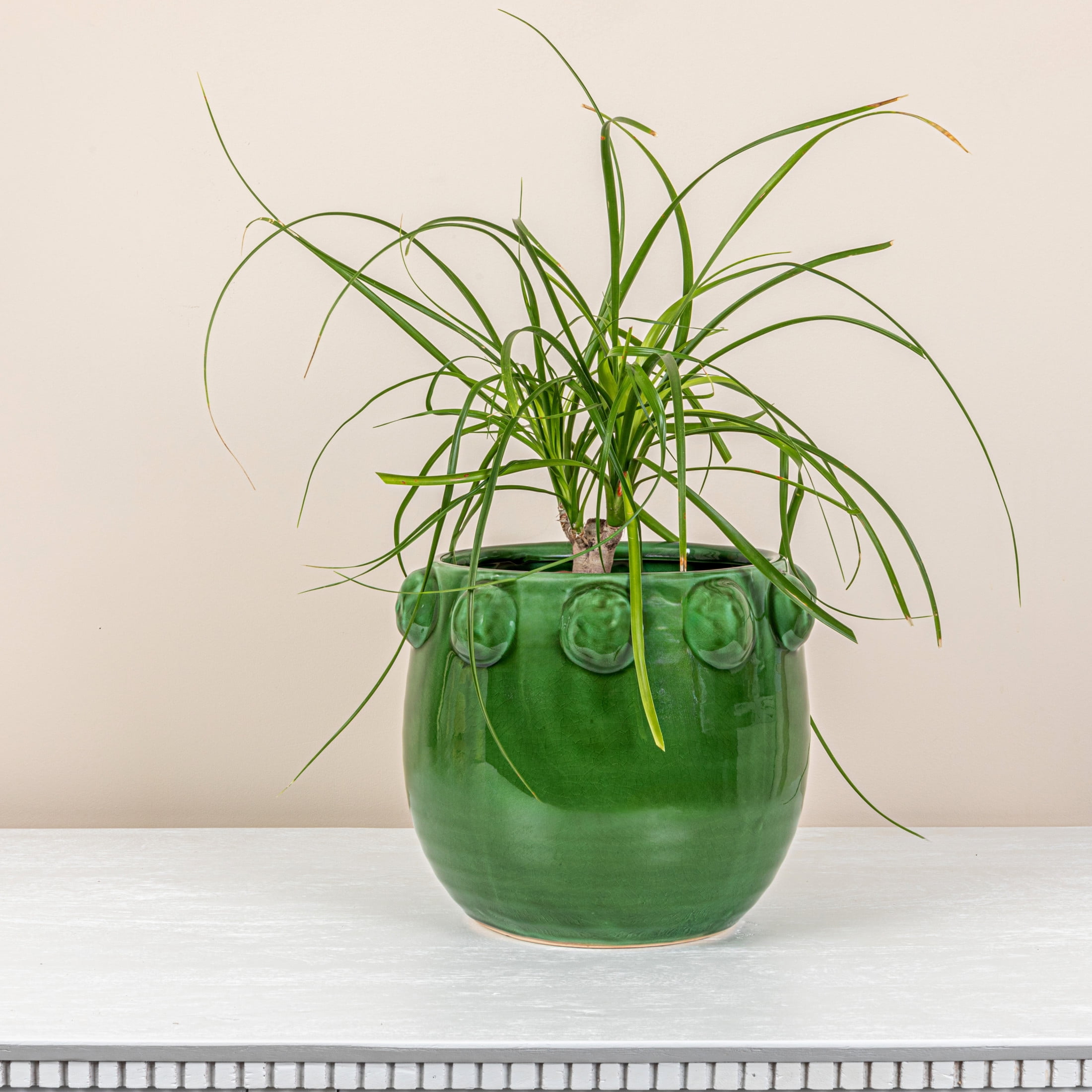 Creative Co-Op Terra-cotta Planter with Raised Dots, Green