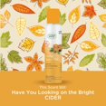 thumbnail image 4 of Limited Edition Natural Odor Eliminating Air Freshener Spray, Orange Spice Cider, 3-Ounce, Pack of 3, 4 of 4