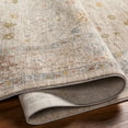 thumbnail image 5 of BoutiqueRugs Amina Traditional Floral Area Rug - Taupe, Medium Gray, Mustard - 9' x 12'2", 5 of 13