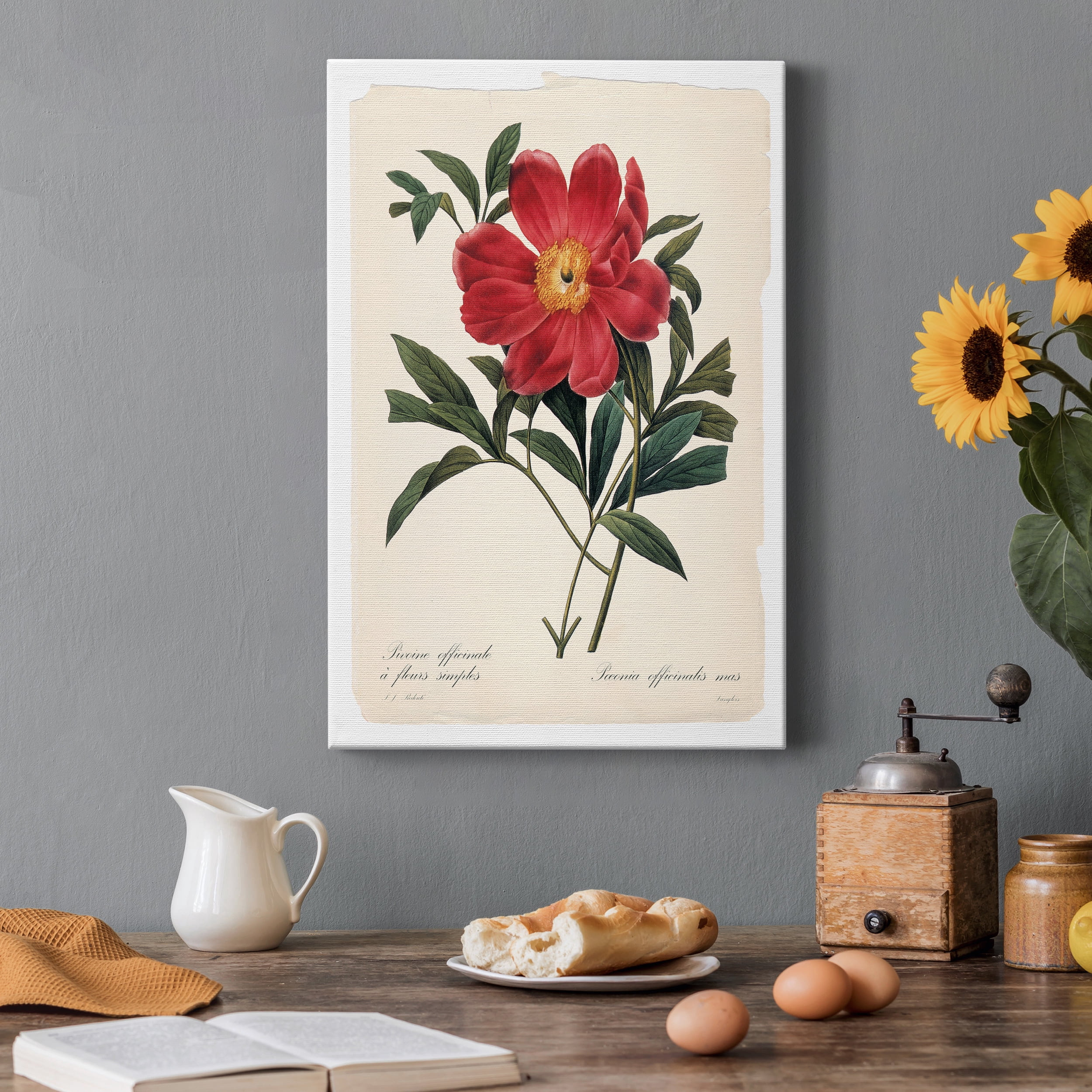 Red Botanical IV Premium Gallery Wrapped Canvas - Ready to Hang - 12 x 18