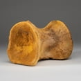 thumbnail image 3 of Spinosaurus Maroccanus Vertebrae From Baharija Formation, South of Taouz, Kem-kem Basin, Morocco, 3 of 5