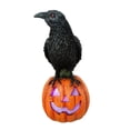 thumbnail image 1 of Way to celebrate! LED Lighted Crow Standing on Pumpkin, 1 of 4