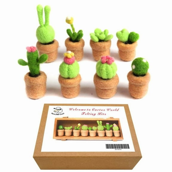 Feltsky 8 Succulents Needle Felting Kits for Beginners Craft Kit Gift for Mother's Day Birthday