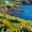 Coastal Daffodils, variant on Volcanic Eruption Canvas Art Print, Wall Decor for Living Room, Bedroom, Office, Home Decoration
