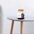 thumbnail image 4 of TEHAUX Transparent Glass Terrarium Vase with Wood Lid Hydroponic Desktop Plant Jar, 4 of 8