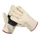 thumbnail image 3 of Guantes de lona para recoger y abrir durianes, equipo multiusos para recoger frutas, protección para las manos, guantes para jardinería y jardinería., 3 of 6