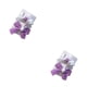 thumbnail image 2 of Qarigey 2 piezas mujer horquillas tocado pasador de pelo regalos Clip trabajo diario naranja Violeta 2piezas Qarigey  CBP308069, 2 of 6