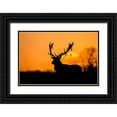 thumbnail image 1 of Harling, Stuart 32x23 Black Ornate Wood Framed with Double Matting Museum Art Print Titled - Red Deer Stag Silhouette, 1 of 4