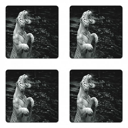 

Safari Coaster Set of 4 White Tiger Wintertime Rare Animal Portrait Eyes Wildlife Environment Square Hardboard Gloss Coasters Standard Size Charcoal Grey Pale Grey by Ambesonne