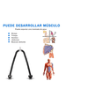 thumbnail image 4 of Cuerda Entrenamiento Gym Tríceps Para Desarrollo Muscular Malubero  Malu1212, 4 of 4