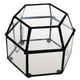 thumbnail image 5 of Caja de Terrario Kusrkot Invernadero, 5 of 8