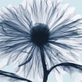 thumbnail image 2 of Koetsier, Albert 26x26 Gold Ornate Wood Framed with Double Matting Museum Art Print Titled - Chrysanthemum Blues, 2 of 4