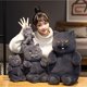 thumbnail image 4 of 30/45/60cm Lovely Chubby Plush British Shorthair Cat Toys Soft Animal relleno Cat Dolls Kids Sleeping Cushion Bonito regalo de cumpleaños, 4 of 5