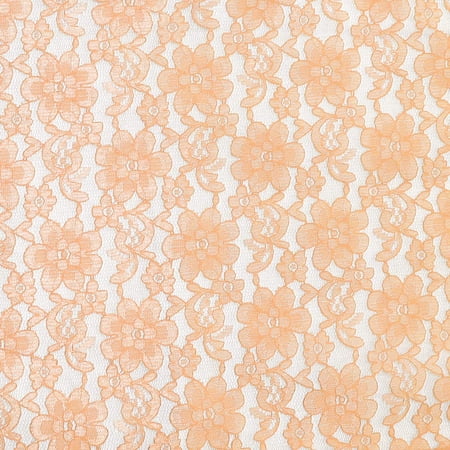 Sheer Floral Rachel Lace Fabric 58 Wide by 360 (10-Yards) for Arts Crafts & Sewing Sheer Floral Rachel Lace Fabric 58 Wide by 360 (10-Yards) for Arts Crafts & Sewing
