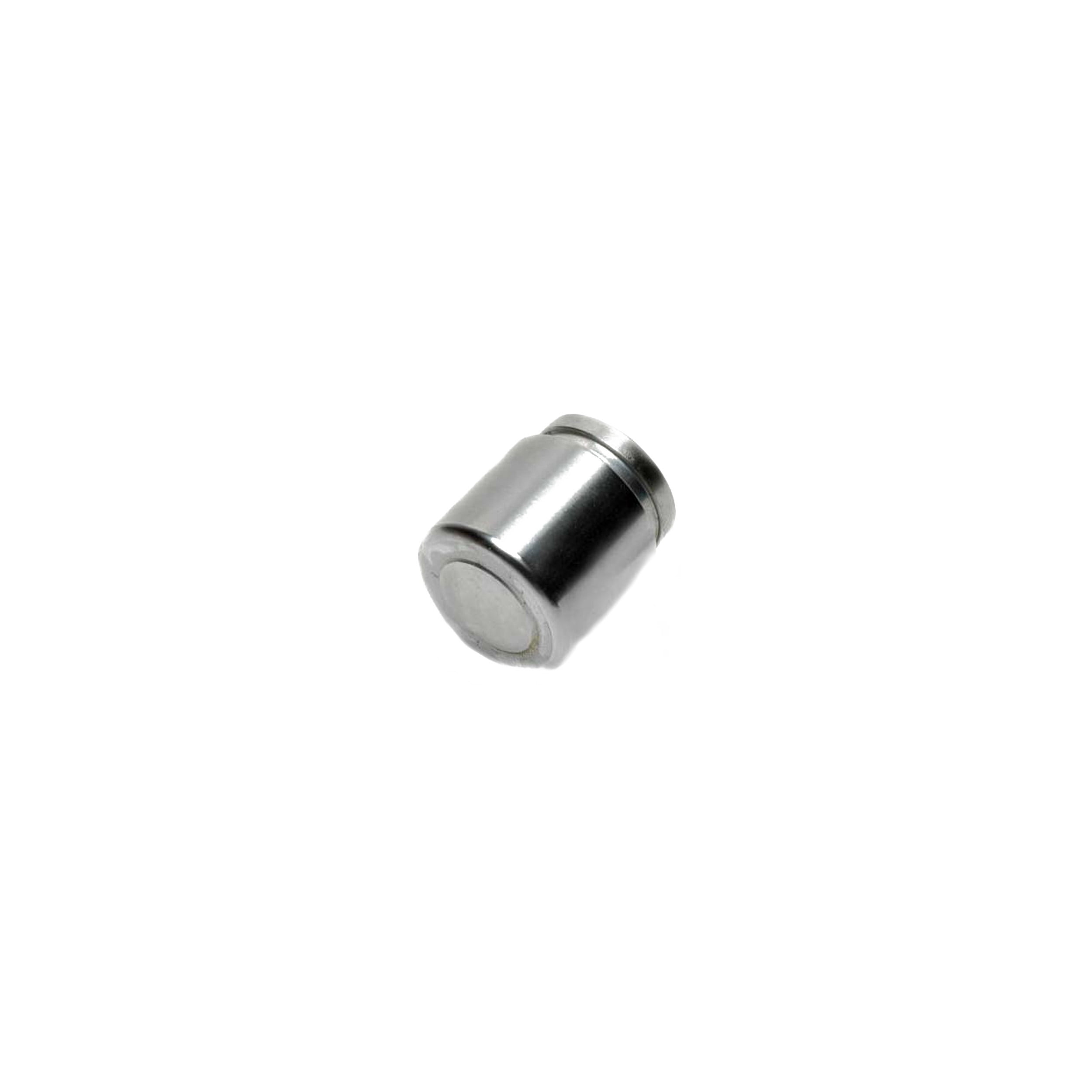 R-Line Disc Brake Caliper Pistons Fits select: 1993-1995 ISUZU RODEO, 1999-2001 ISUZU VEHICROSS