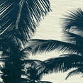 thumbnail image 2 of Jill, Susan 15x15 Black Ornate Wood Framed with Double Matting Museum Art Print Titled - Caicos I, 2 of 4